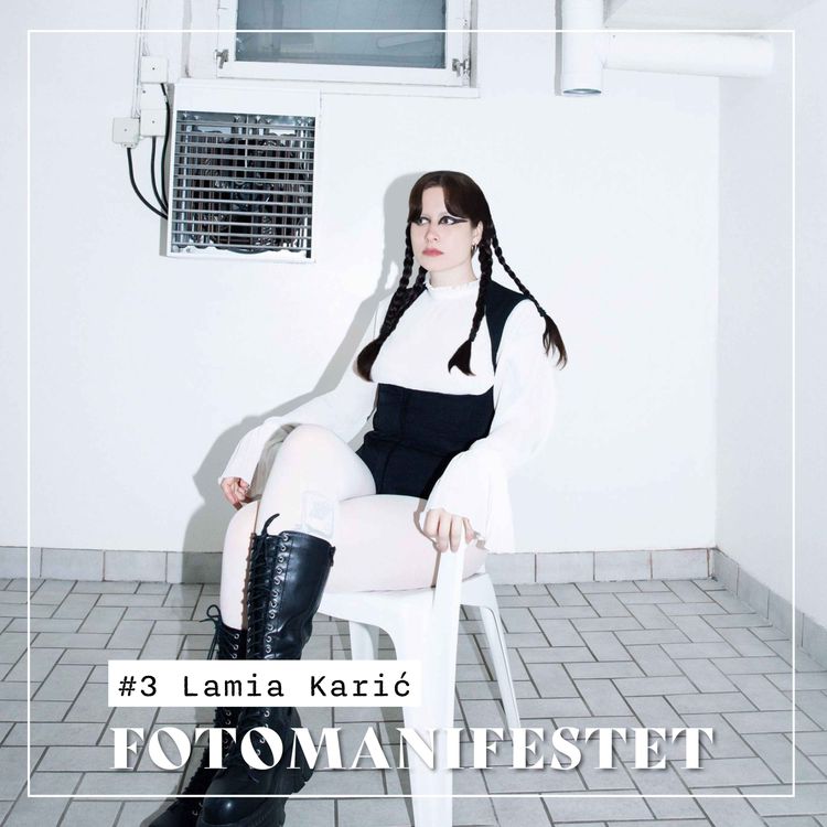 cover art for Lamia Karić