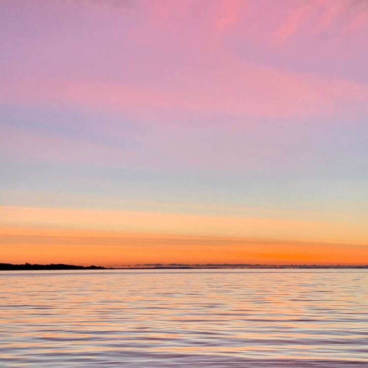 cover art for DET GRÆNSELØSE MENNESKE