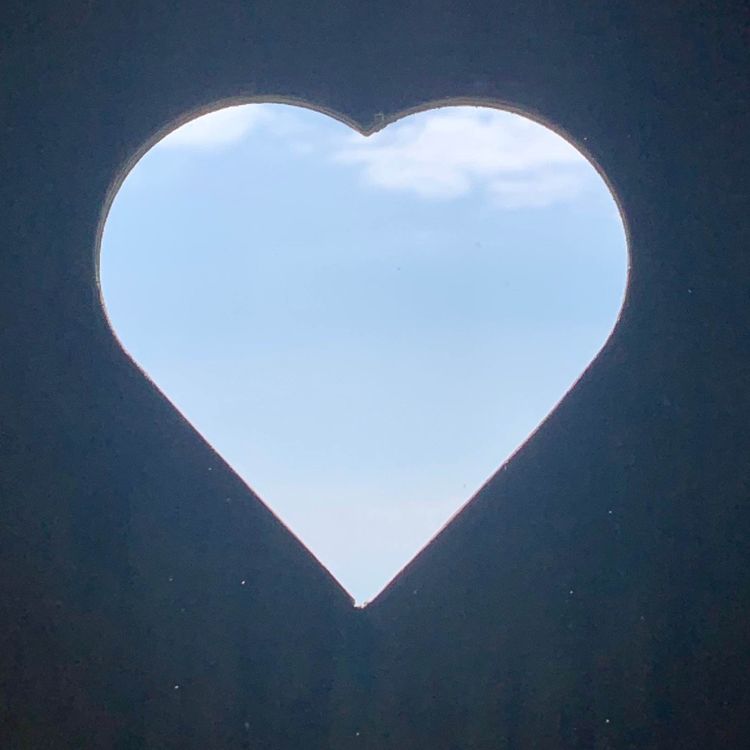 cover art for AUTOIMMUNE LIDELSER