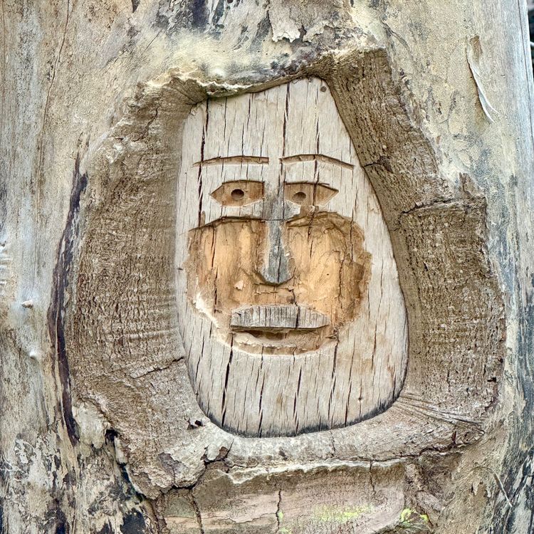 cover art for SØVN FORSTYRRET ?