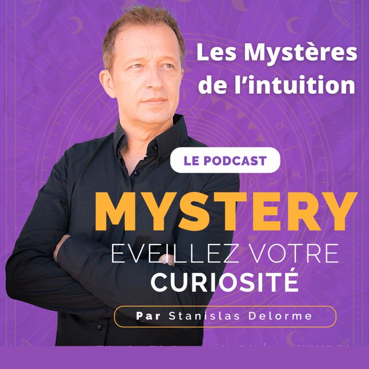 cover art for #17 Les mystères de l'intuition