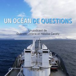 cover art for Un océan de questions