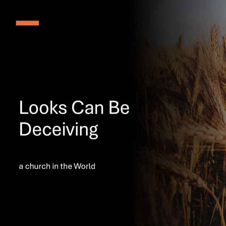 cover art for Looks Can Be Deceiving