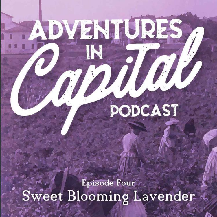 cover art for Sweet Blooming Lavender