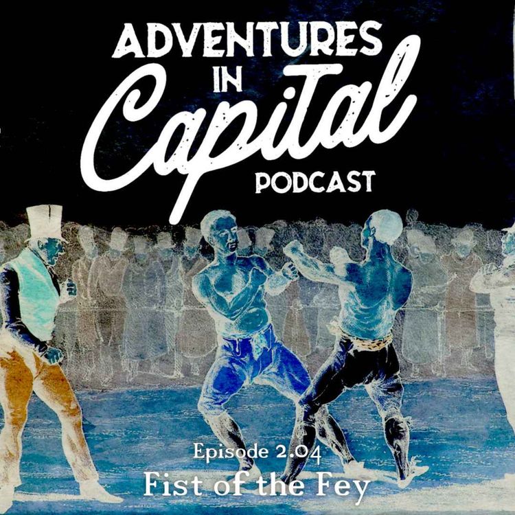 cover art for Fist of the Fey