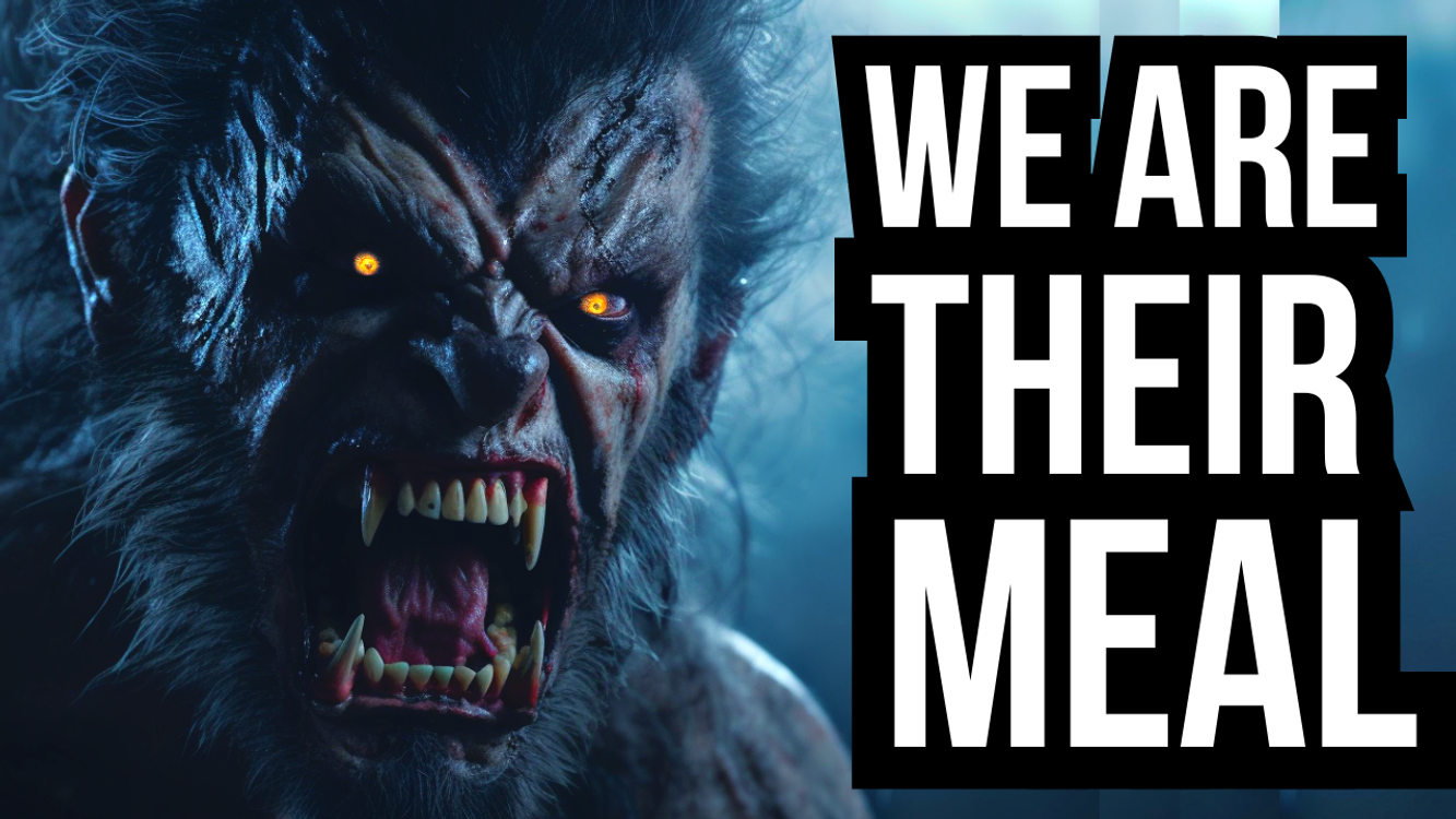 cover art for 16 TRUE SCARY PARK RANGER HORROR STORIES