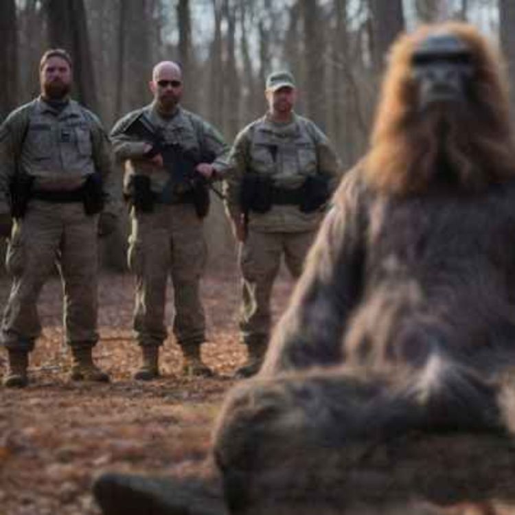 cover art for 9 TRUE SCARY DEEP WOODS AND CAMPING HORROR STORIES