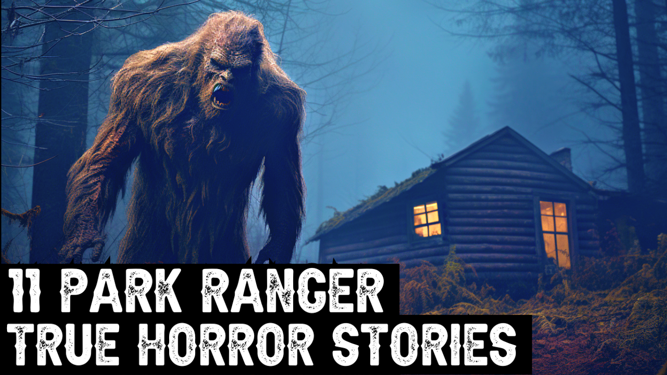 cover art for 18 TRUE SCARY CRYPTID ENCOUNTER AND CRYPTID SIGHTING HORROR STORIES