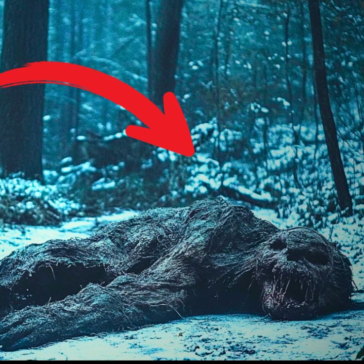 cover art for 14 TRUE SCARY PARK RANGER & DEEP WOODS HORROR STORIES