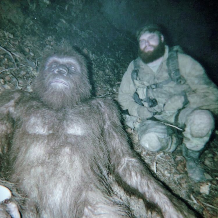cover art for 3 TRUE SCARY NAVY SEAL & SPECIAL FORCES HORROR STORIES