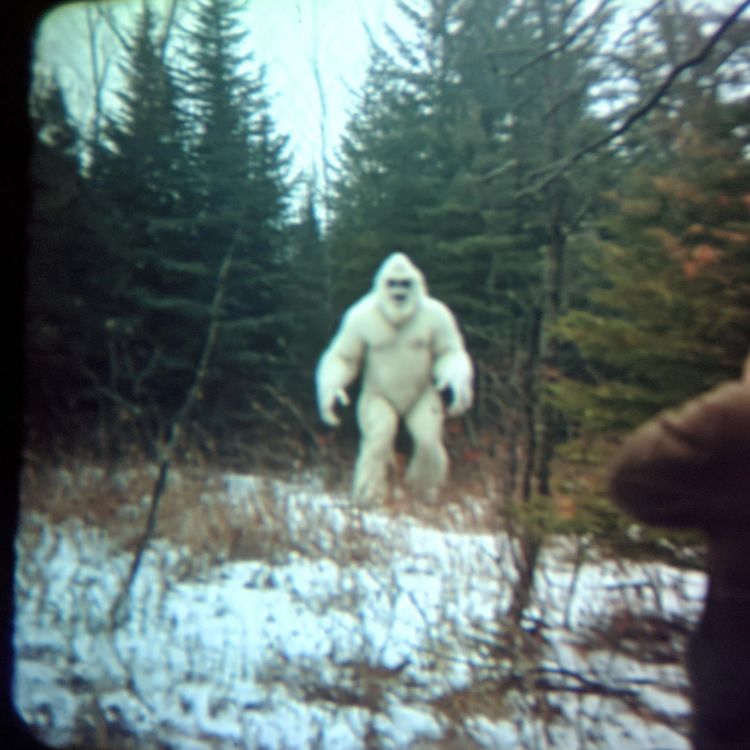 cover art for 3 TRUE SCARY PARK RANGER HORROR STORIES