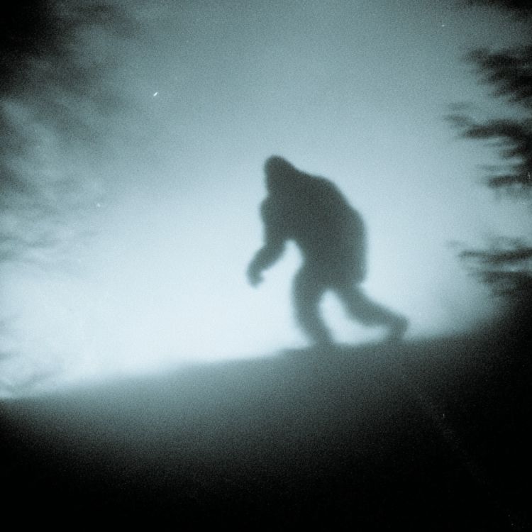 cover art for 2 TRUE SCARY CRYPTID & FOLKLORE HORROR STORIES