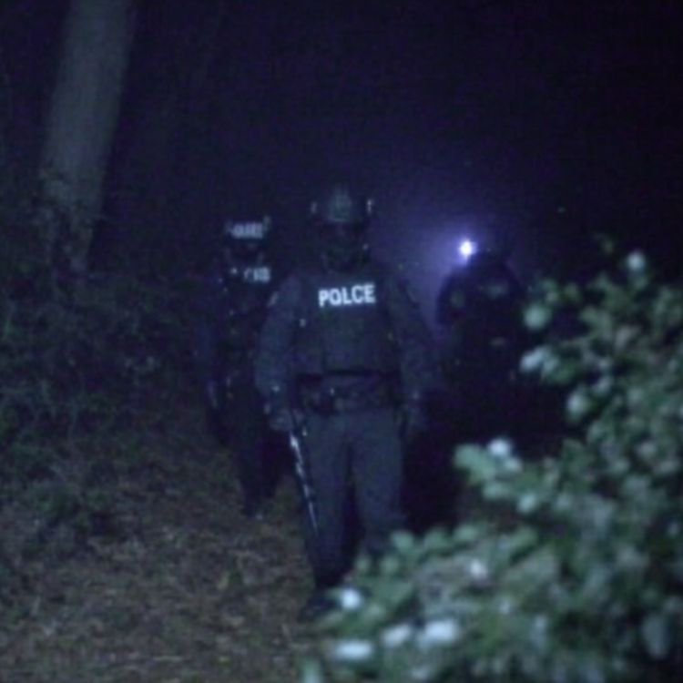 cover art for 3 TRUE SCARY PARK RANGER HORROR STORIES