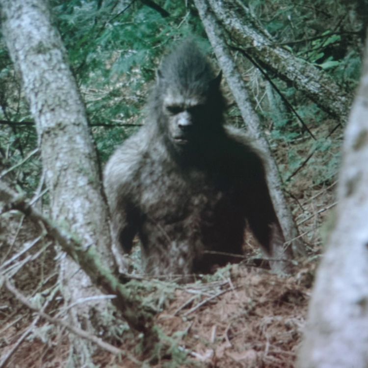 cover art for Cryptid Hitman WARNS. I Know Why People Went Missing Near Cayuga Lake