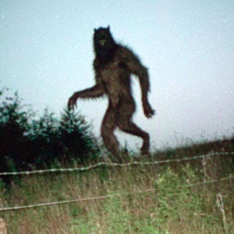 cover art for What the HELL is going on in Western North Carolina