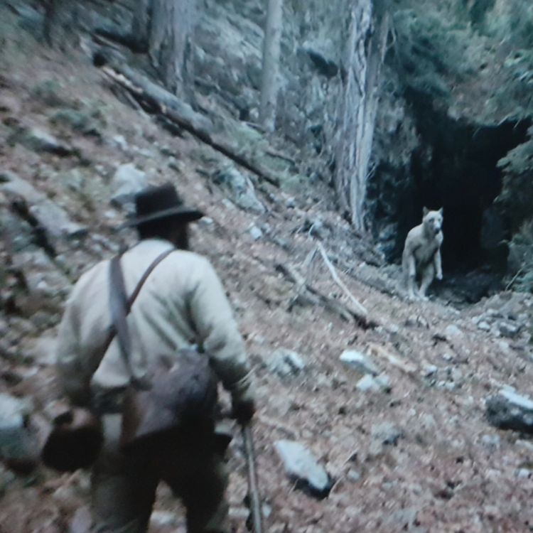 cover art for US Navy SEALS Spills the Beans about Creatures They Killed In North Carolina Mountains