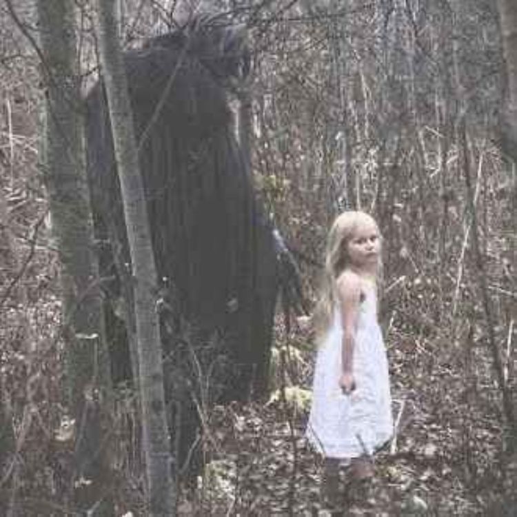 cover art for Disturbing Things from Around the Internet