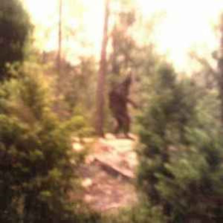 cover art for MOST DISTURBING Cryptid Encounters 