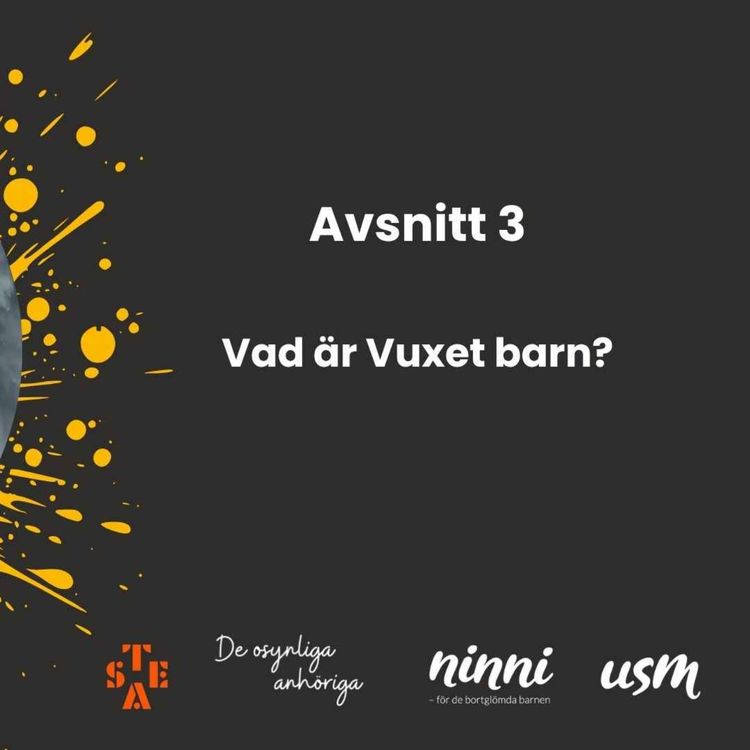 cover art for 3. Vad är Vuxet barn?