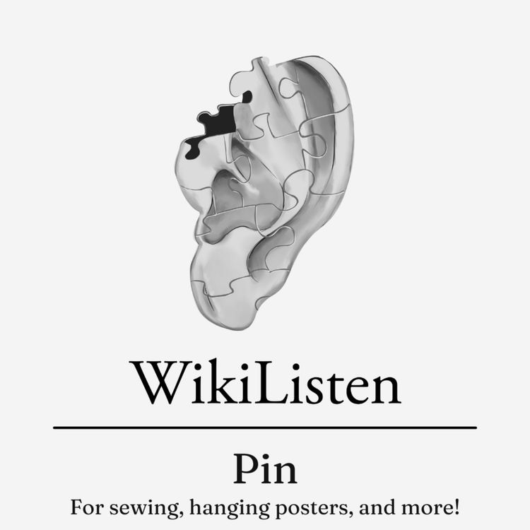 cover art for Pin