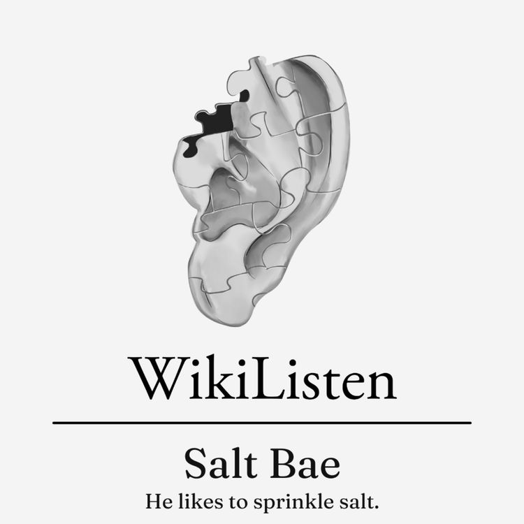 cover art for Salt Bae