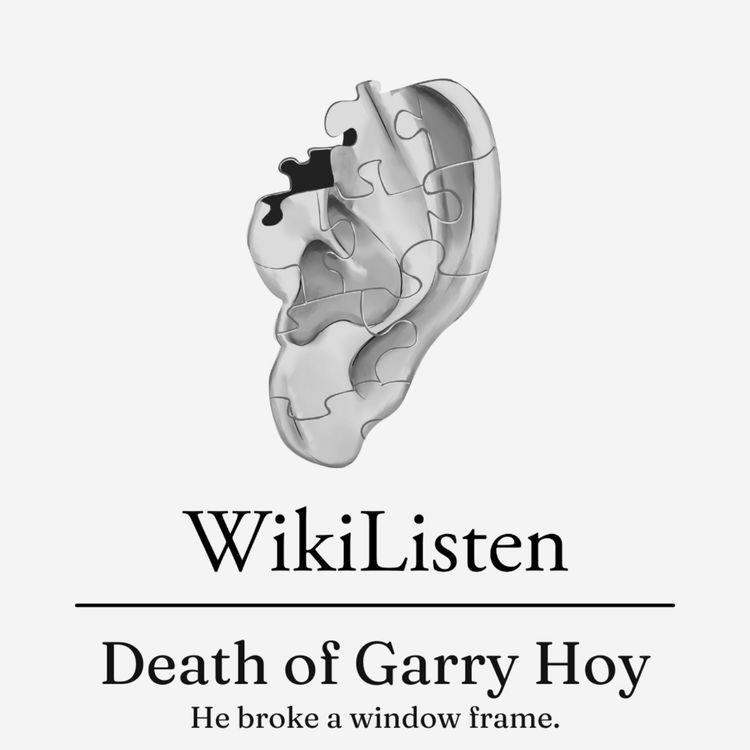 cover art for Death of Garry Hoy