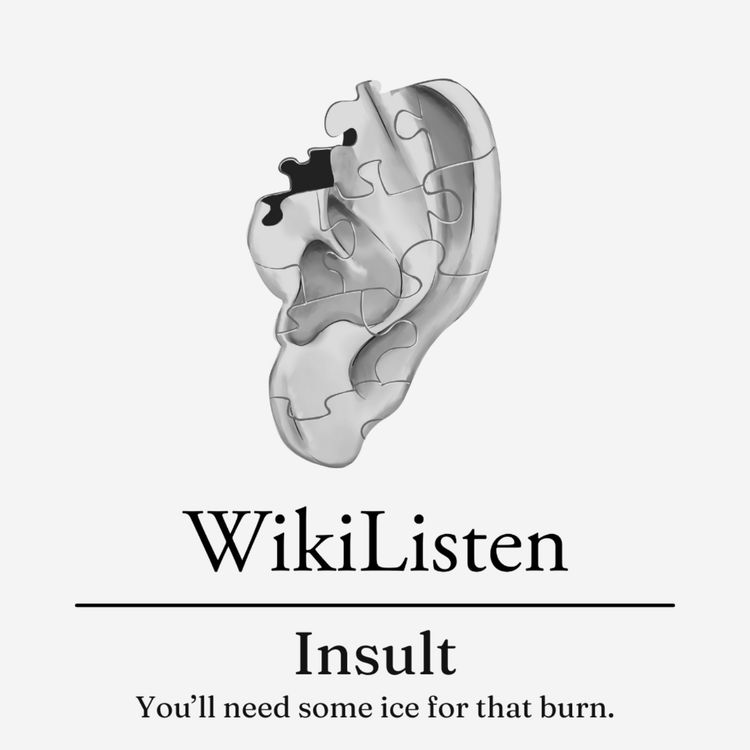 cover art for Insult
