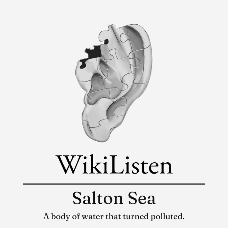 cover art for Salton Sea