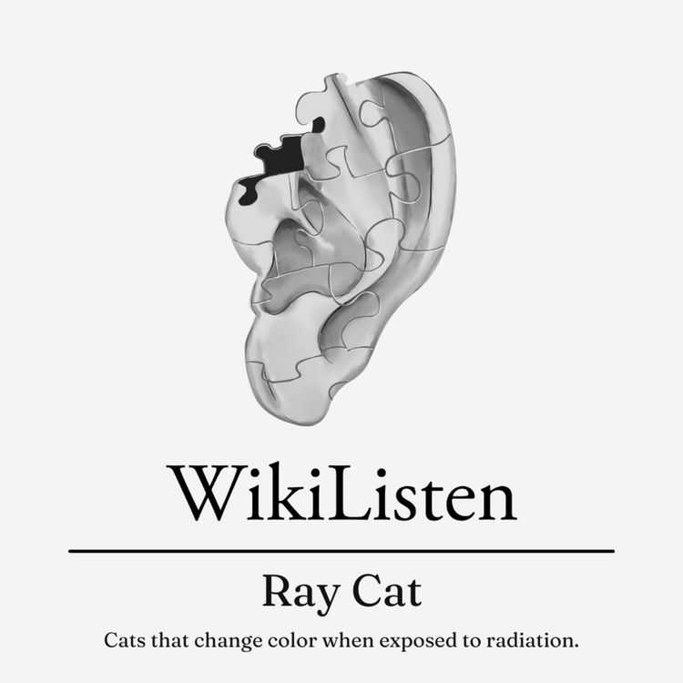 cover art for Ray Cat