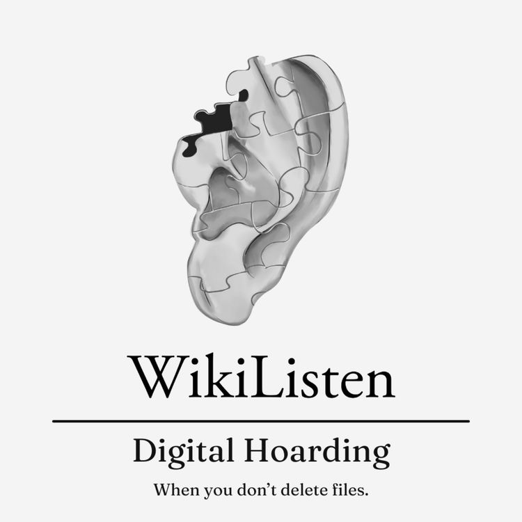 cover art for Digital Hoarding