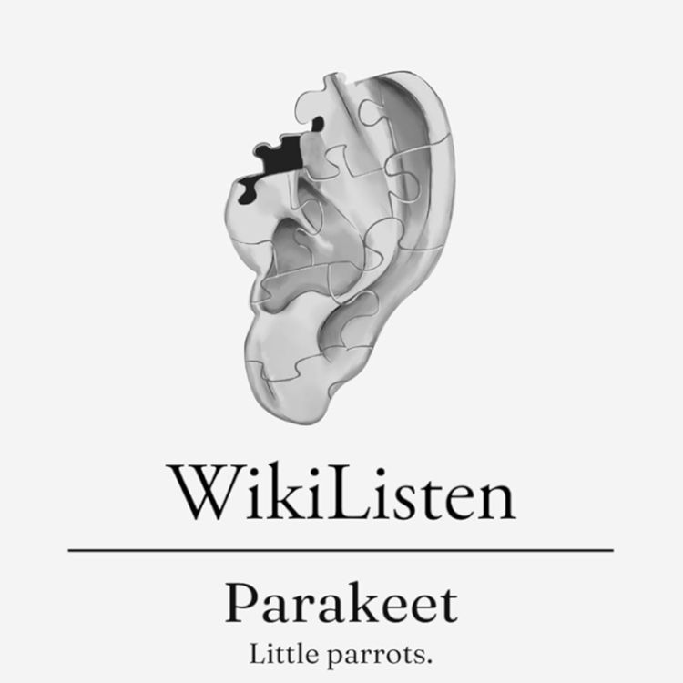 cover art for Parakeet Re-visited