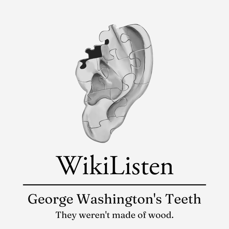 cover art for George Washington's Teeth