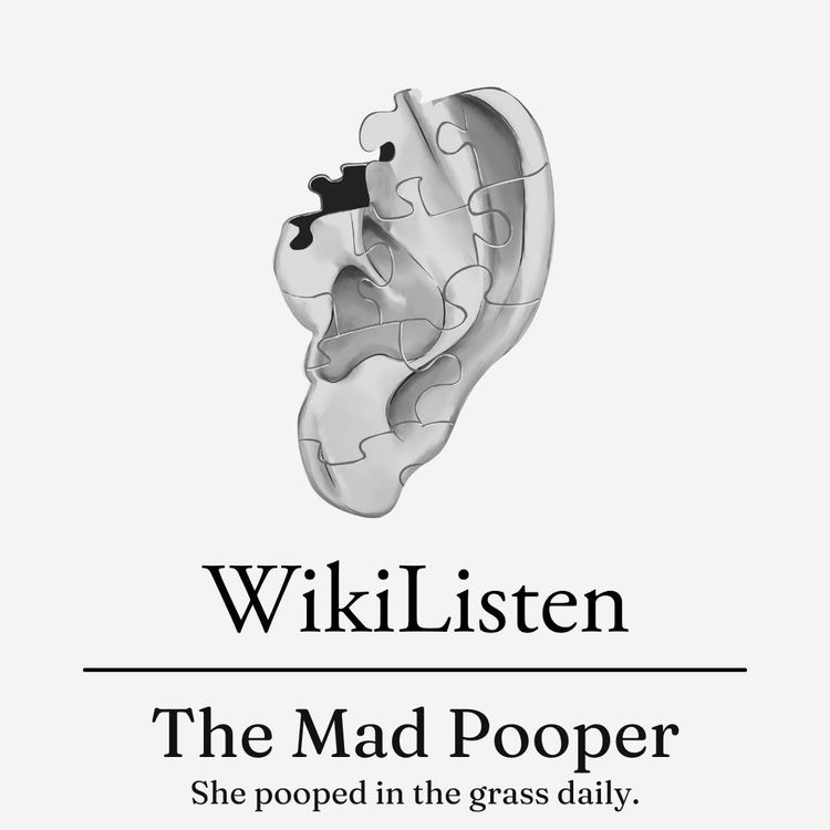 cover art for The Mad Pooper