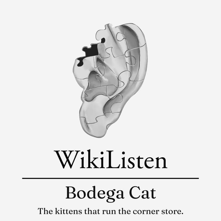 cover art for Bodega Cat