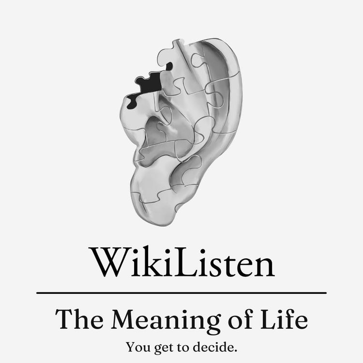 cover art for The Meaning of Life.