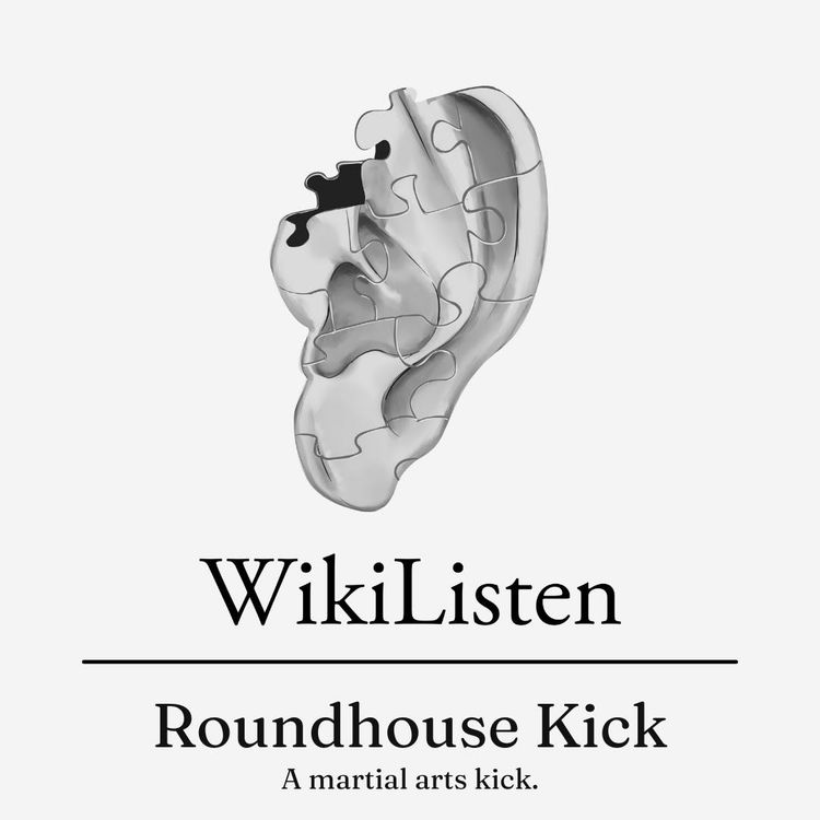 cover art for Roundhouse kick