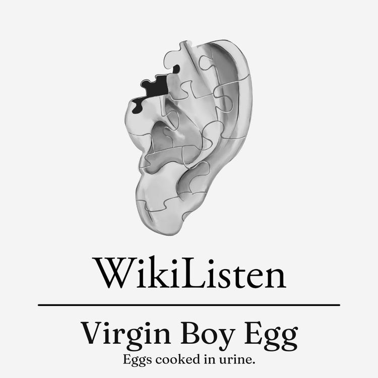 cover art for Virgin Boy Egg