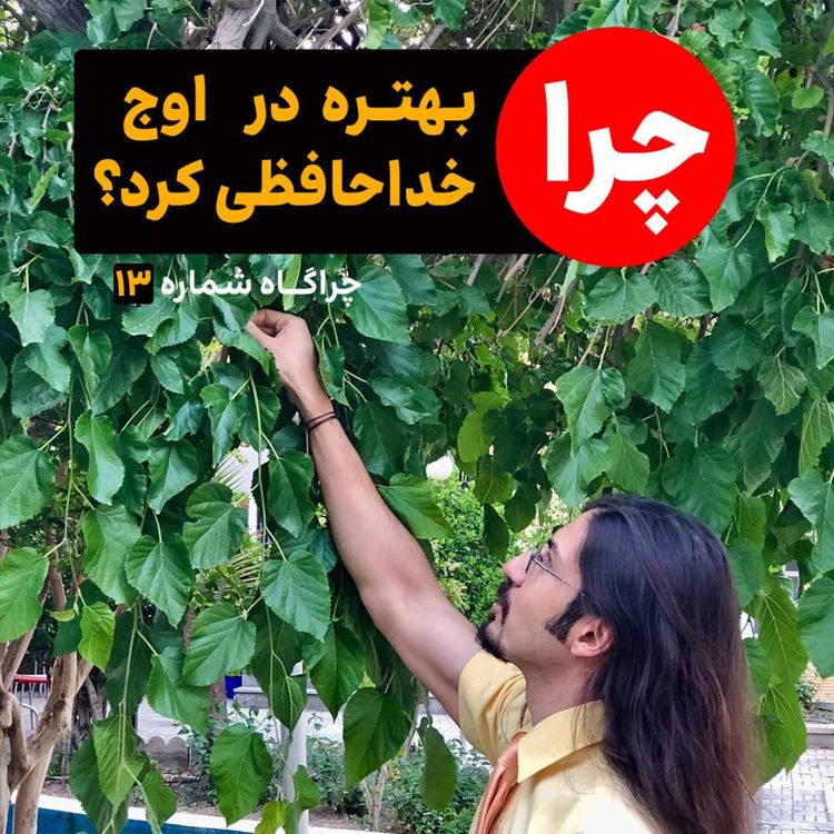 cover art for چرا بهتره در اوج خداحافظی کرد؟