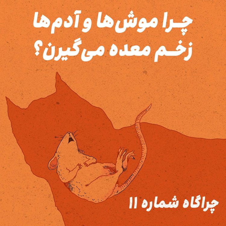 cover art for چراگاه ۱۱- چرا موش‌ها و آدم‌ها زخم معده می‌گیرن؟