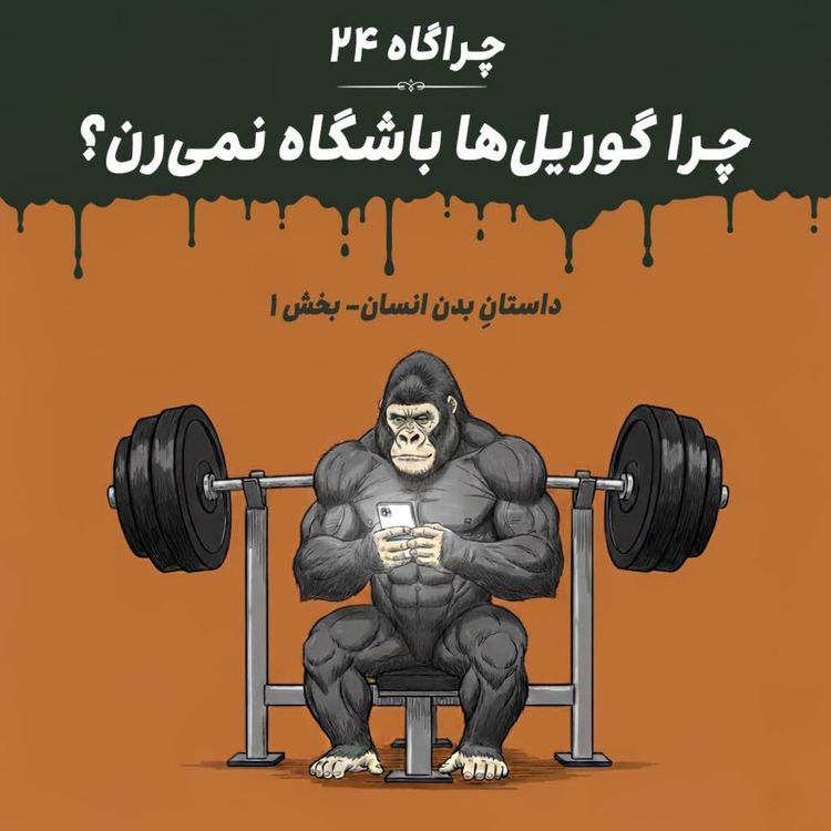 cover art for چراگاه ۲۴- چرا گوریلها باشگاه نمیرن اما خوشاندامن؟