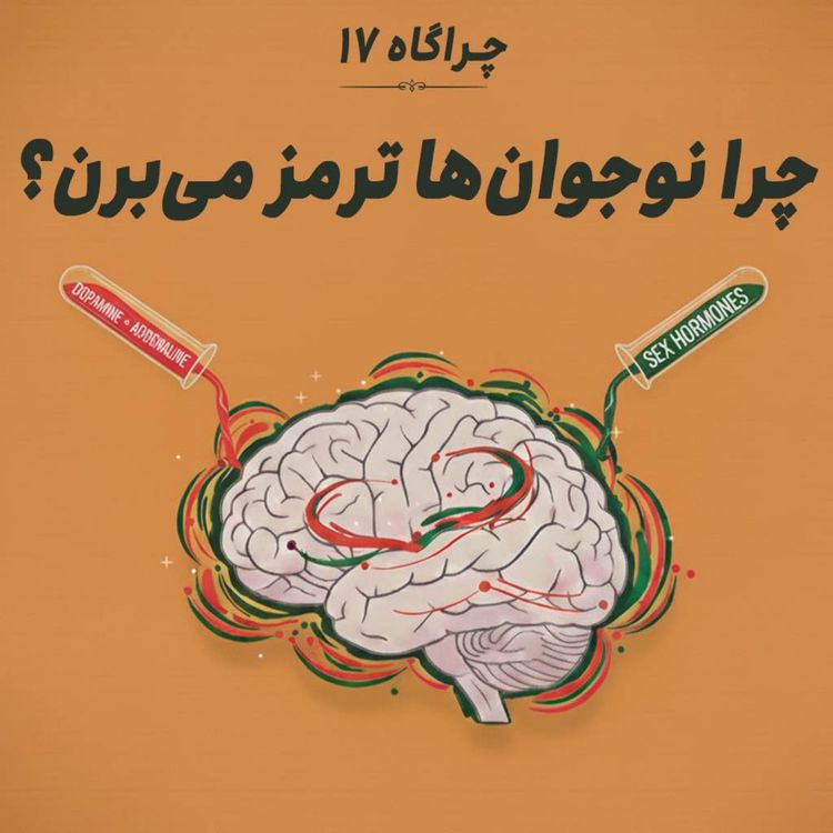 cover art for چراگاه ۱۷- چرا نوجوان‌ها ترمز می‌بُرن؟