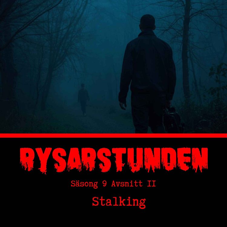 cover art for Stalking - S9E11 (134)