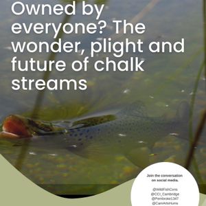 cover art for Owned by everyone? 
