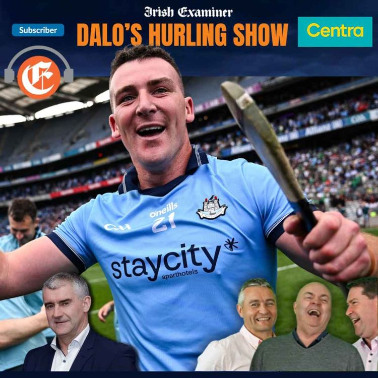 cover art for Dalo's Hurling Show: This game would make a fool out of you