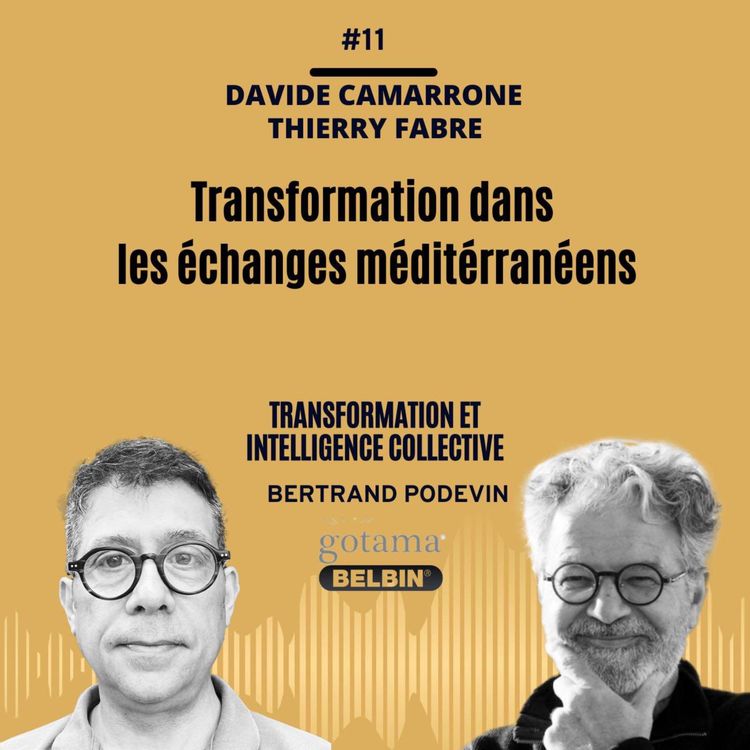 cover art for Transformation dans les échanges méditerranéens