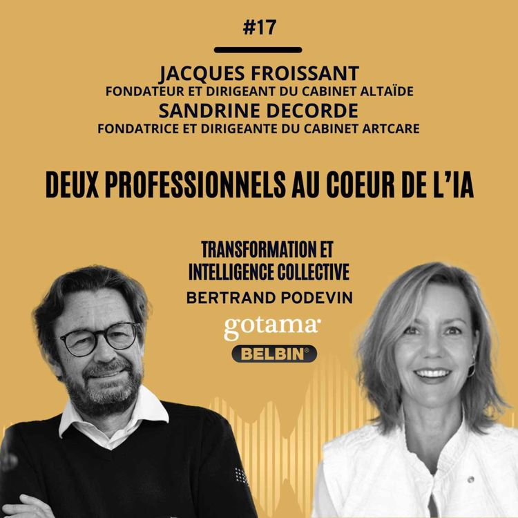 cover art for Deux professionnels au coeur de l'IA