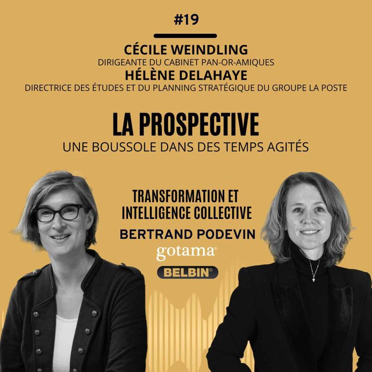 cover art for La prospective: une boussole dans des temps agités