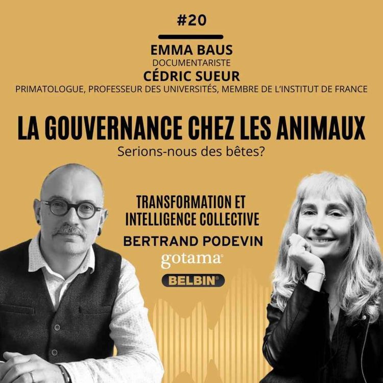 cover art for La gouvernance chez les animaux
