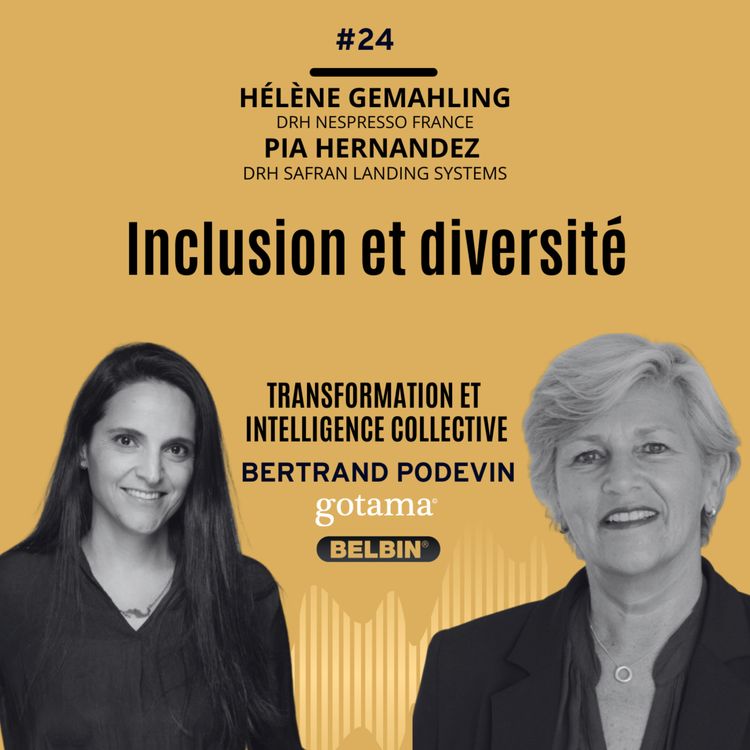 cover art for Diversité et Inclusion dans les entreprises