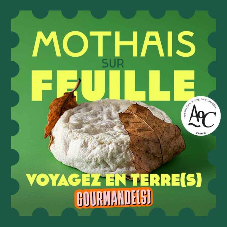 cover art for Episode 11: le Mothais sur feuille AOC